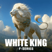 Rey Blanco